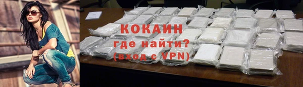 шишки Сосновый Бор
