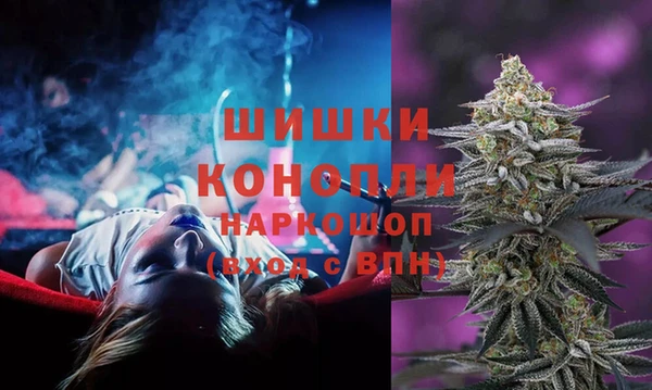 a pvp Белокуриха