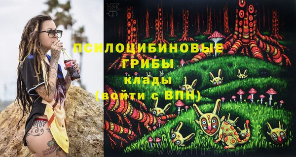 метадон Беломорск