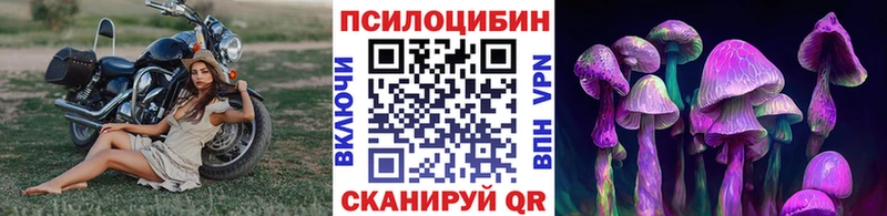 Псилоцибиновые грибы ЛСД  как найти   Валуйки 